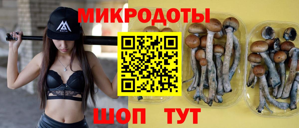 Псилоцибиновые грибы мицелий  Псилоцибиновые грибы мицелий  Вход с VPN  Куйбышев 
